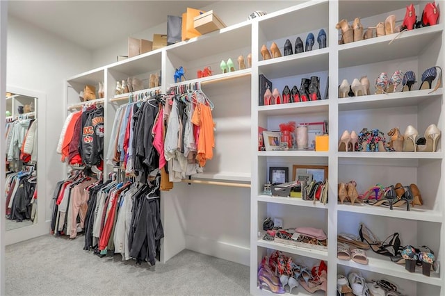 12605 W 169th St, Overland Park, KS 66221 - spacious closet with carpet flooring