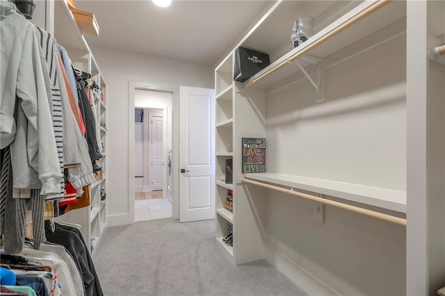 12605 W 169th St, Overland Park, KS 66221 - spacious closet with carpet floors