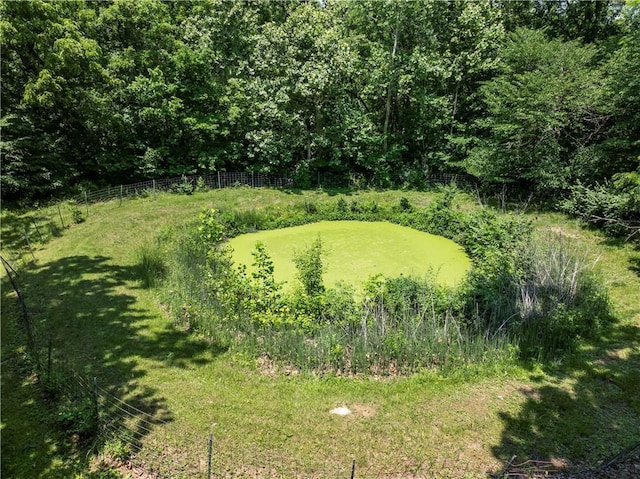 31134 W 161st St, Excelsior Springs, MO 64024 - view of yard