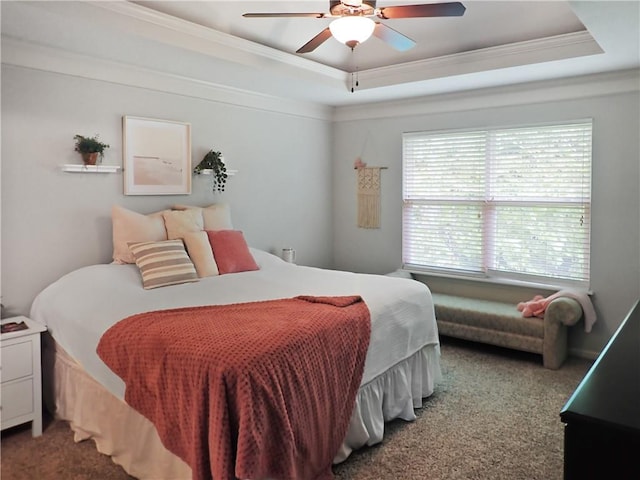4301 NE 84th Ter, Kansas City, MO 64156 - carpeted bedroom with a raised ceiling, multiple windows, crown molding, and ceiling fan