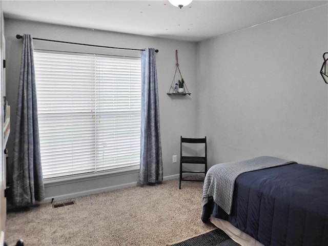 4301 NE 84th Ter, Kansas City, MO 64156 - bedroom featuring carpet floors and multiple windows