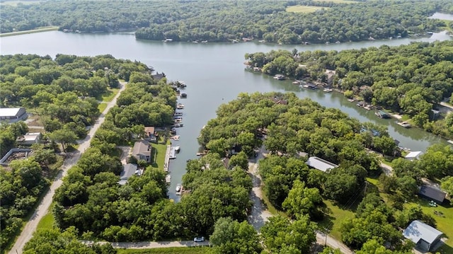 321 W Sugarlake Dr, Mound City, KS 66056 - bird's eye view of a large body of water and a forest