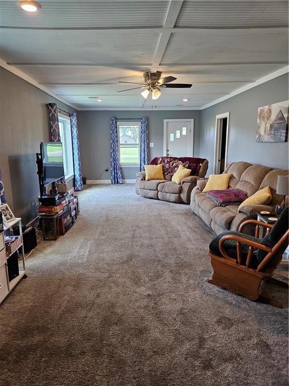 245 S 250th St, Pittsburg, KS 66762 - living area with carpet, ceiling fan, and ornamental molding