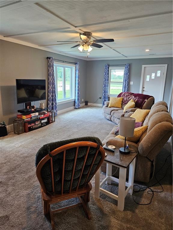 245 S 250th St, Pittsburg, KS 66762 - carpeted living area featuring healthy amount of natural light, ceiling fan, and crown molding