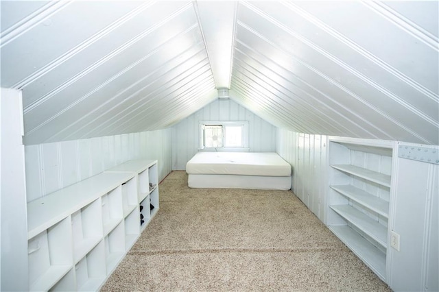 1619 W College St, Independence, MO 64050 - unfurnished bedroom with carpet floors and vaulted ceiling