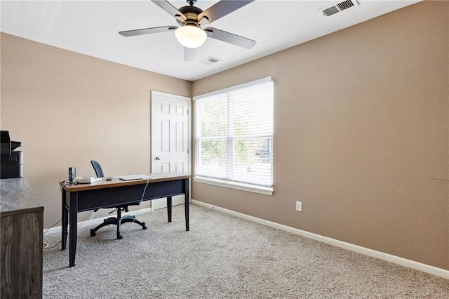 12318 N Wayne Ave, Kansas City, MO 64165 - office space featuring carpet flooring and ceiling fan