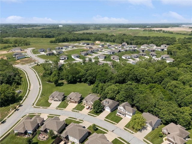 12318 N Wayne Ave, Kansas City, MO 64165 - aerial view of property's location featuring nearby suburban area