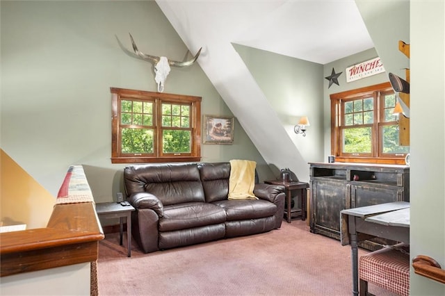 15333 Hillside Dr, Archie, MO 64725 - photo 21