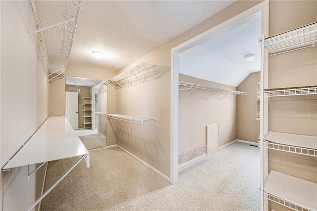 1905 160th St, Basehor, KS 66007 - walk in closet with carpet floors