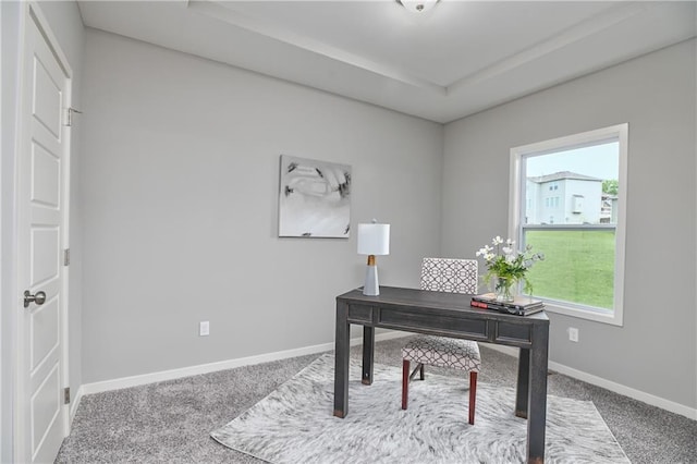 6102 Lewis Dr, Shawnee, KS 66226 - office area with carpet floors and a tray ceiling