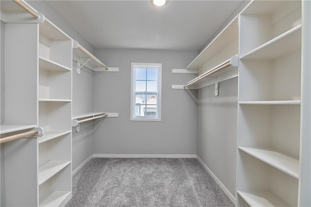 6102 Lewis Dr, Shawnee, KS 66226 - spacious closet with carpet floors