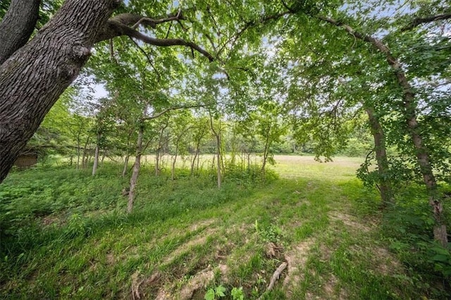 6401 SE Hamilton Rd, Holt, MO 64048 - view of local wilderness