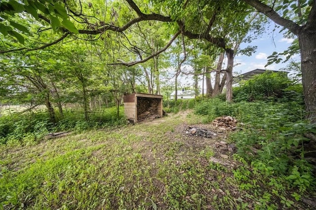 6401 SE Hamilton Rd, Holt, MO 64048 - view of yard featuring a shed