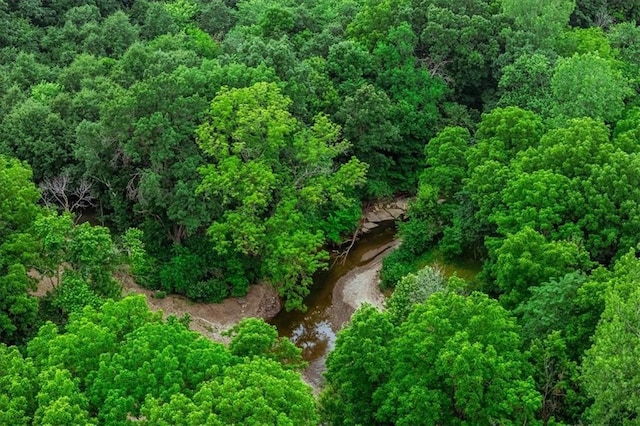 6401 SE Hamilton Rd, Holt, MO 64048 - aerial overview of property's location with a forest