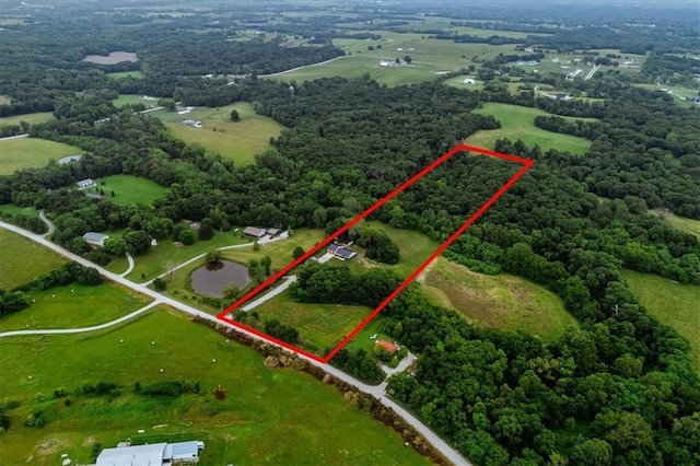 6401 SE Hamilton Rd, Holt, MO 64048 - view of property location with property boundaries highlighted