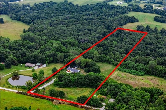6401 SE Hamilton Rd, Holt, MO 64048 - aerial view of property's location with property parcel outlined