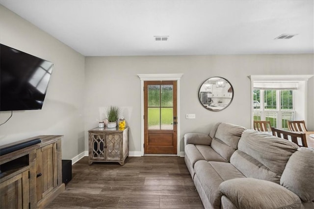 6401 SE Hamilton Rd, Holt, MO 64048 - living area featuring plenty of natural light and dark wood-style floors