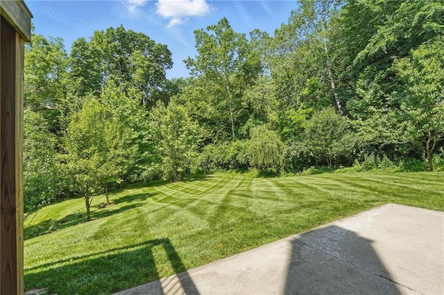 6112 N Mattox Rd, Kansas City, MO 64151 - view of green lawn with a patio area