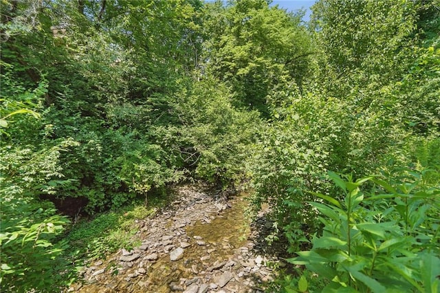 6112 N Mattox Rd, Kansas City, MO 64151 - view of tree filled area