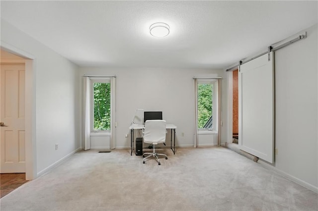 6112 N Mattox Rd, Kansas City, MO 64151 - office featuring healthy amount of natural light, carpet floors, and a barn door