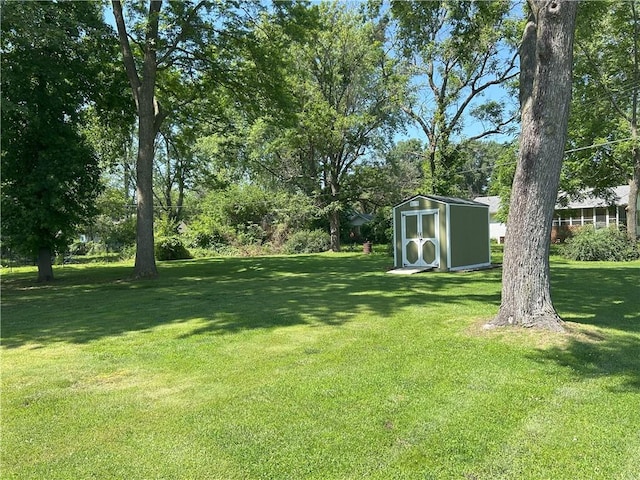 1047 N Lynn St, Nevada, MO 64772 - view of grassy yard with a storage unit