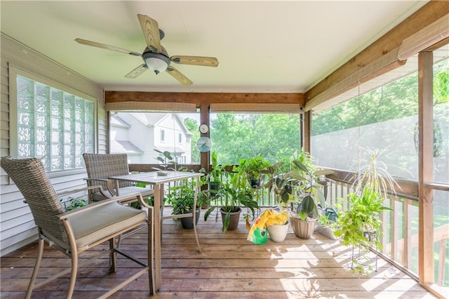 503 Amesbury Dr, Smithville, MO 64089 - sunroom / solarium with ceiling fan