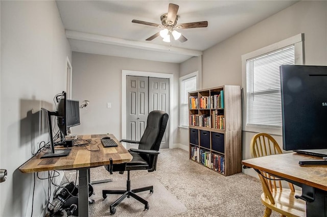 4008 College Ave, Kansas City, MO 64130 - photo 19
