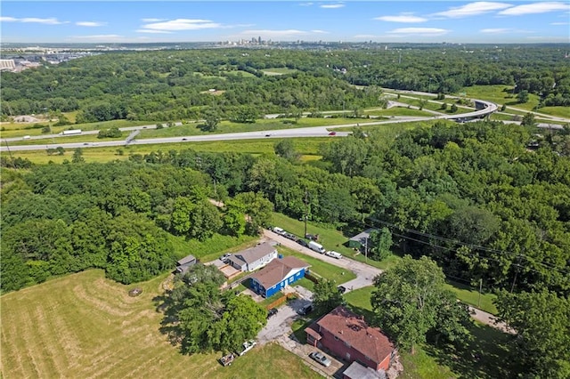 2508 Vernon Ave, Kansas City, KS 66104 - aerial view of property's location with a forest