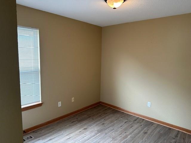 1002 NE Deer Creek Rd, Grain Valley, MO 64029 - spare room featuring light wood finished floors and plenty of natural light