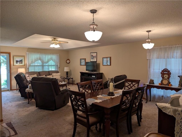 413 Quail Trl, Warrensburg, MO 64093 - dining room featuring a textured ceiling, light colored carpet, healthy amount of natural light, and ceiling fan