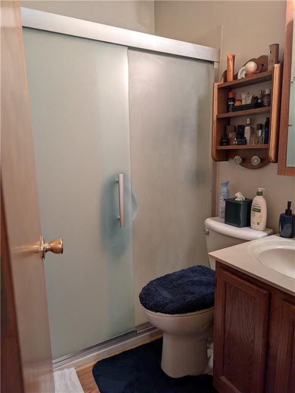 413 Quail Trl, Warrensburg, MO 64093 - bathroom with vanity, a shower stall, and wood finished floors