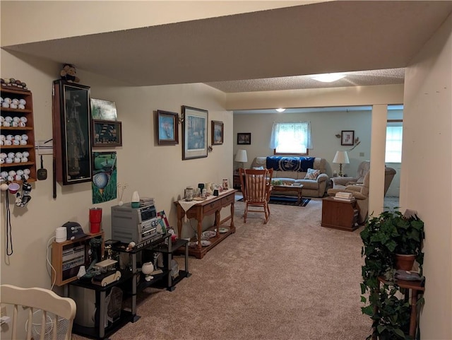 413 Quail Trl, Warrensburg, MO 64093 - living room featuring carpet