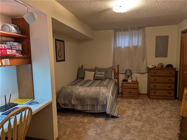 413 Quail Trl, Warrensburg, MO 64093 - bedroom featuring electric panel, a textured ceiling, and carpet floors