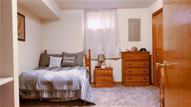 413 Quail Trl, Warrensburg, MO 64093 - carpeted bedroom with electric panel