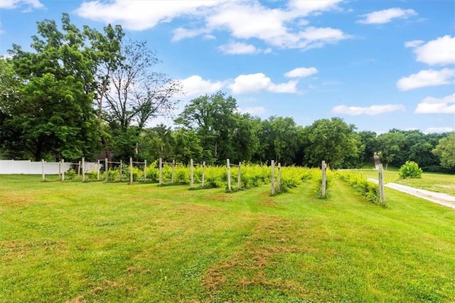 414 Dickinson Rd, Independence, MO 64050 - view of yard