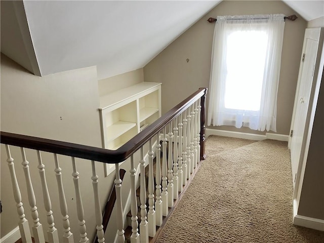 207 W 66th St, Kansas City, MO 64113 - corridor featuring plenty of natural light, carpet, and lofted ceiling