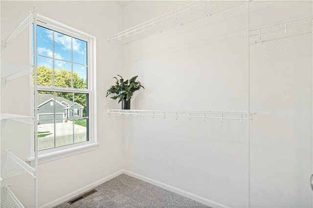 5919 NE 118th St, Kansas City, MO 64156 - photo 23
