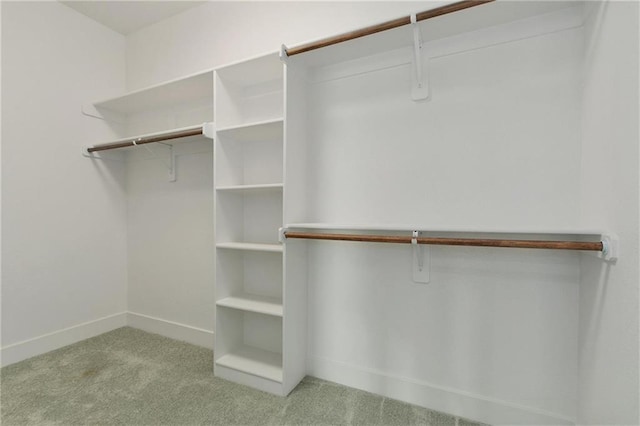 3720 NE 90th St, Kansas City, MO 64156 - walk in closet with carpet