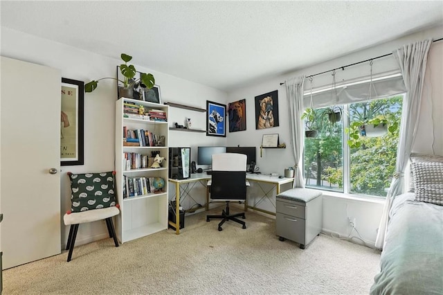 11134 Nieman Rd Unit 201, Overland Park, KS 66210 - view of carpeted home office