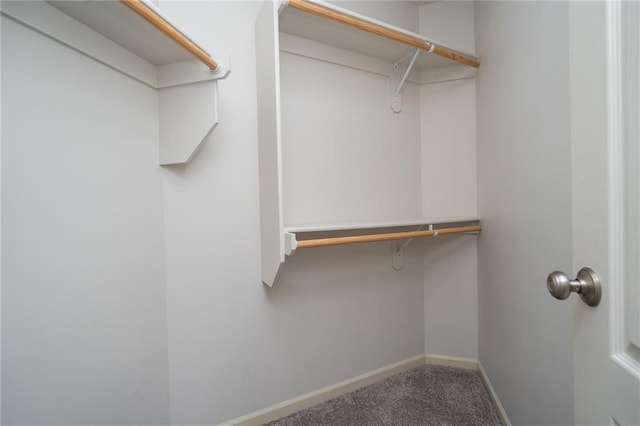 22833 W 44th St, Shawnee, KS 66226 - walk in closet featuring carpet flooring