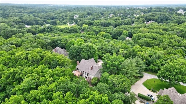 22810 SW Hampton Ct, Blue Springs, MO 64015 - aerial view of a heavily wooded area