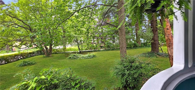 615 N Jefferson St, Carrollton, MO 64633 - view of green lawn