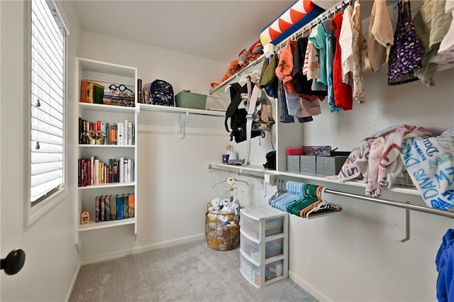 144 SE Riley St, Blue Springs, MO 64064 - spacious closet with carpet
