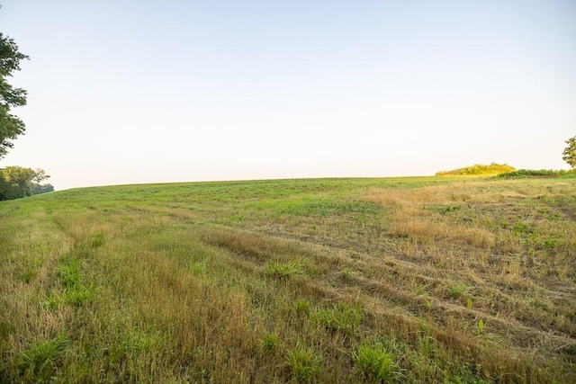 TRACT3 SE 1050th Rd, Windsor, MO 65360 - photo 30
