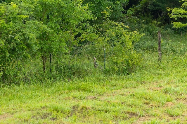 TRACT3 SE 1050th Rd, Windsor, MO 65360 - photo 32