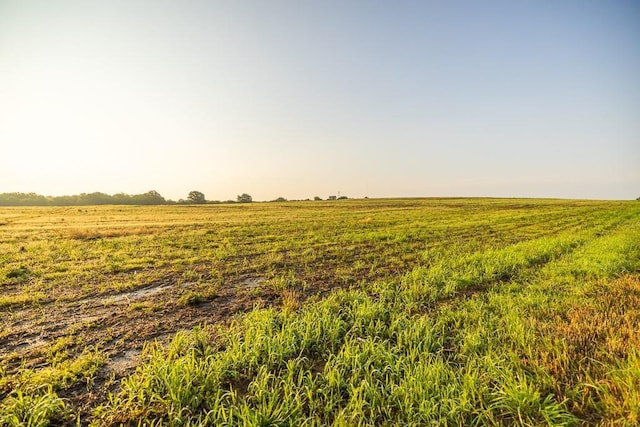 TRACT4 SE 1050th Rd, Windsor, MO 65360 - photo 20