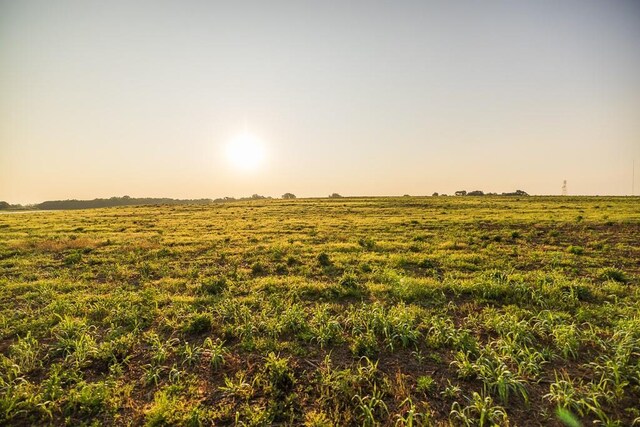 TRACT4 SE 1050th Rd, Windsor, MO 65360 - photo 22
