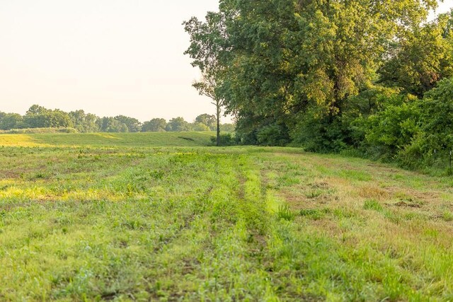 TRACT4 SE 1050th Rd, Windsor, MO 65360 - photo 29