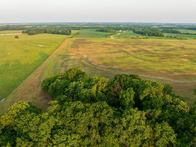 TRACT5 SE 1050th Rd, Windsor, MO 65360 - photo 10
