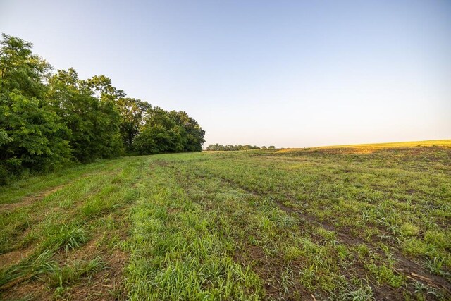 TRACT5 SE 1050th Rd, Windsor, MO 65360 - photo 19